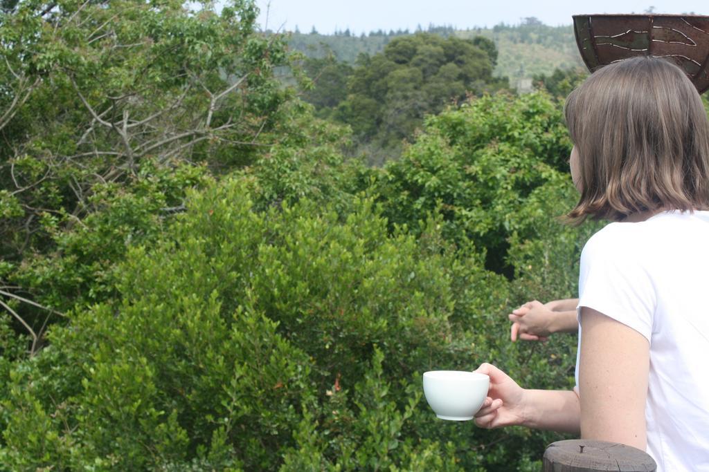 Redbourne Country Lodge - Lion Roars Hotels & Lodges Plettenberg Bay Exterior photo